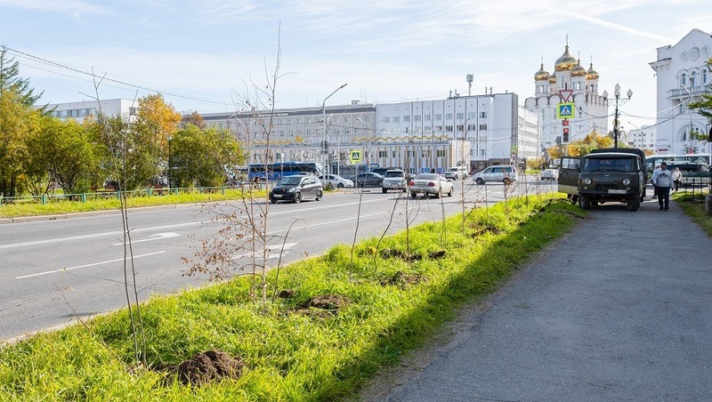 7,5 тыс. кв. м. газонов благоустроили в Магадане с начала лета