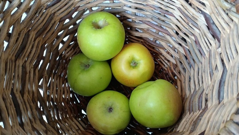 Более 6 тонн яблок и груш купили на ярмарках выходного дня 7 марта в Рязани