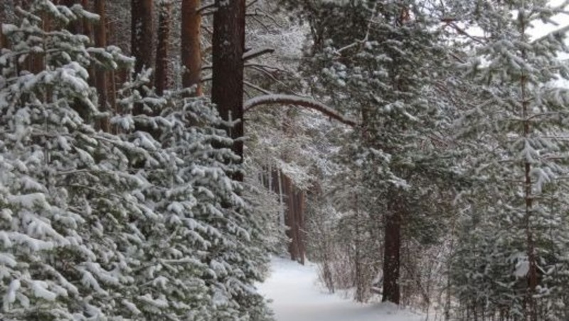Паслер анонсировал открытие новых турмаршрутов в трёх природных парках региона