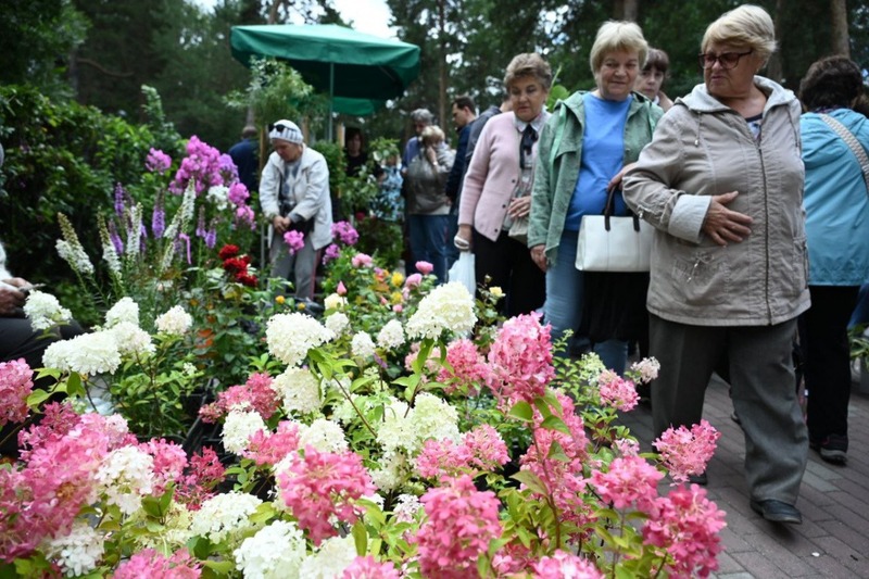 Челябинская выставка цветов и плодов пройдет на новом месте