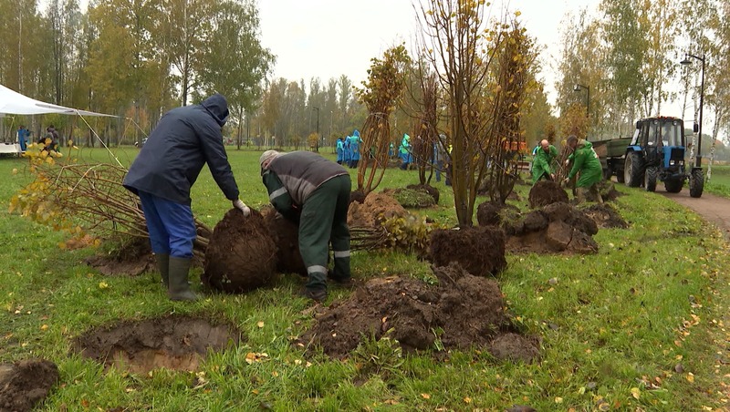 Более 16 млн кв. м зелёных зон привели в порядок в Петербурге
