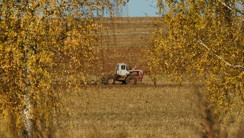 Первый Всероссийский агродиктант состоится в октябре