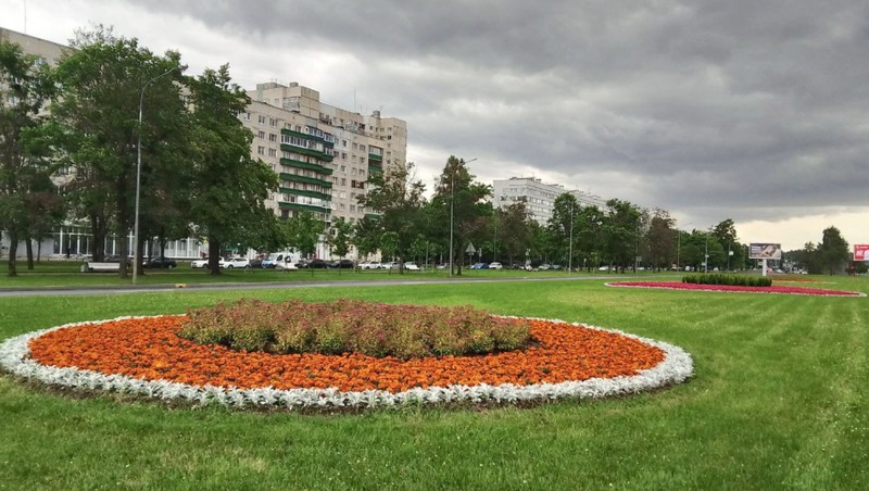 Около 5,5 млн цветов высадят в 2026 году в Петербурге