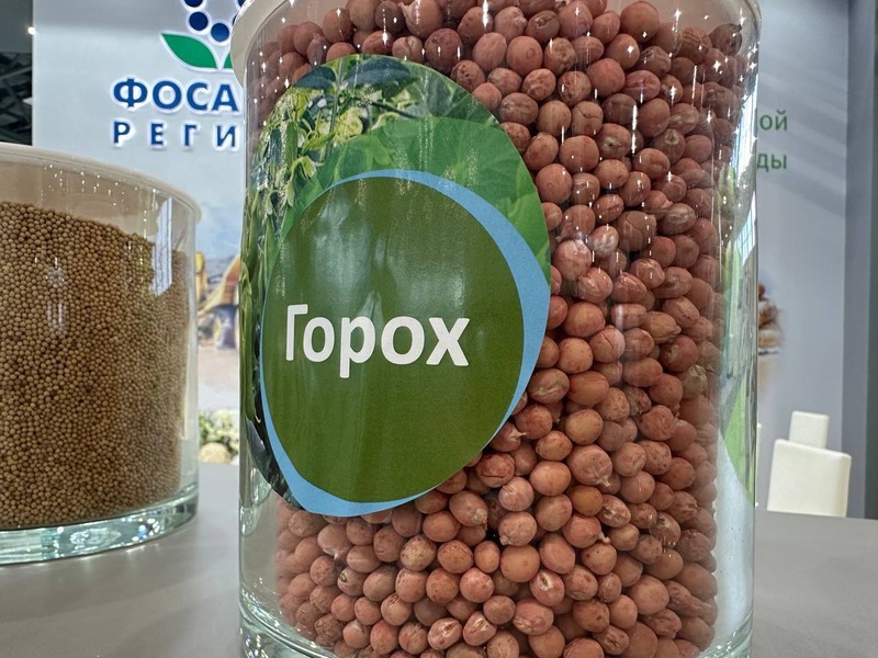 Экспорт сельхозпродукции из РТ в Китай составил более 12 млн долларов
