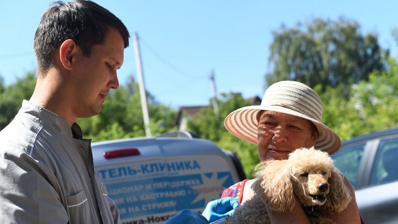 Бесплатная вакцинация домашних животных состоится 20–21 сентября в Казани