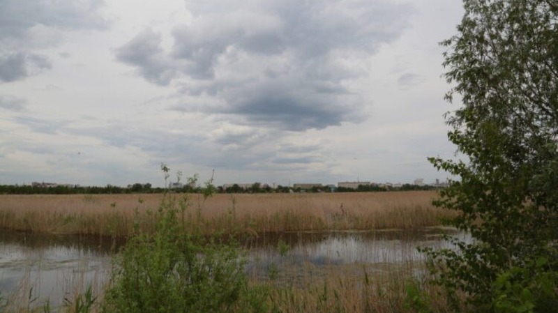 300 омичей поучаствовали в геотреке «Сила Окунево»