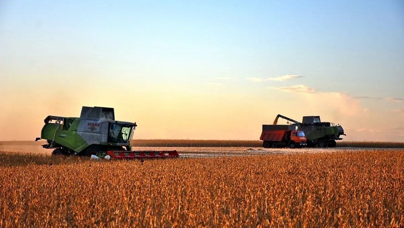 Более 3 млн тонн зерна собрали рязанские аграрии