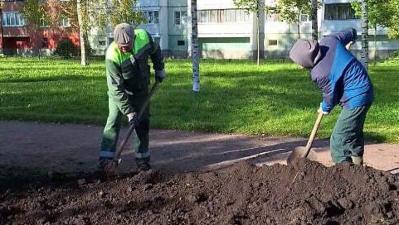 Зелёные насаждения высаживают в сквере на ул. Машиностроителей в Петербурге