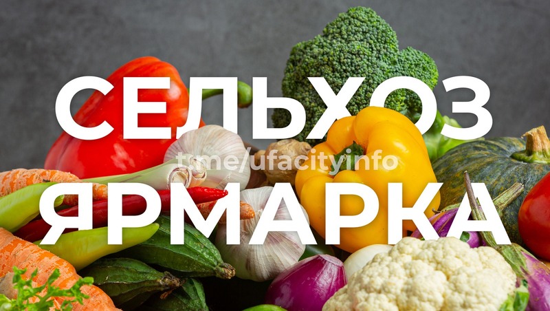 Ярмарки сельхозпродукции состоятся 1–4 ноября в Уфе