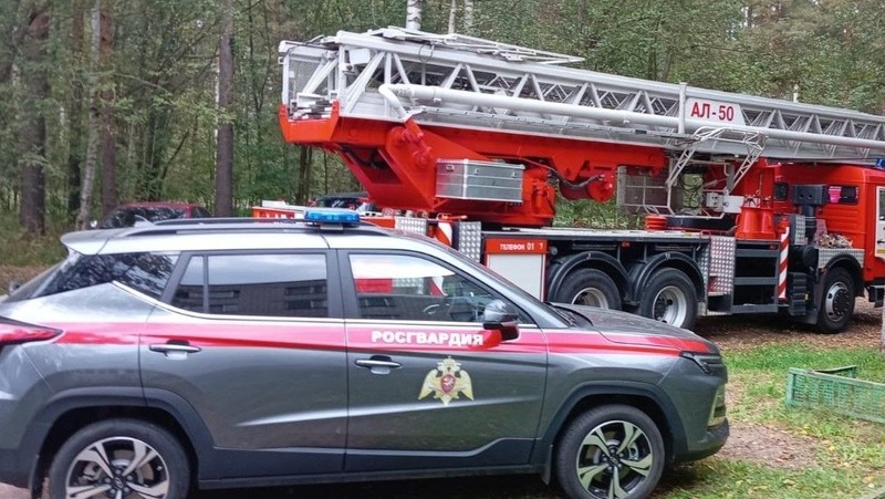 Более 20 человек спасли при квартирном пожаре в Отрадном