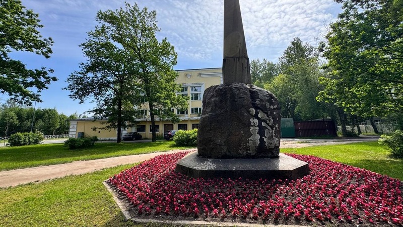 У памятника Каспийцам в Петербурге высадили бегонию