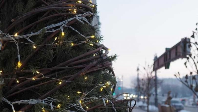 На омском «Зелёном острове» установили новогоднюю ёлку