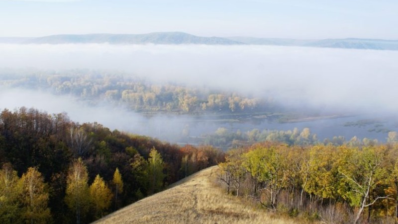 Около 2 млн руб. штрафов выписали за ущерб лесам Самарской области