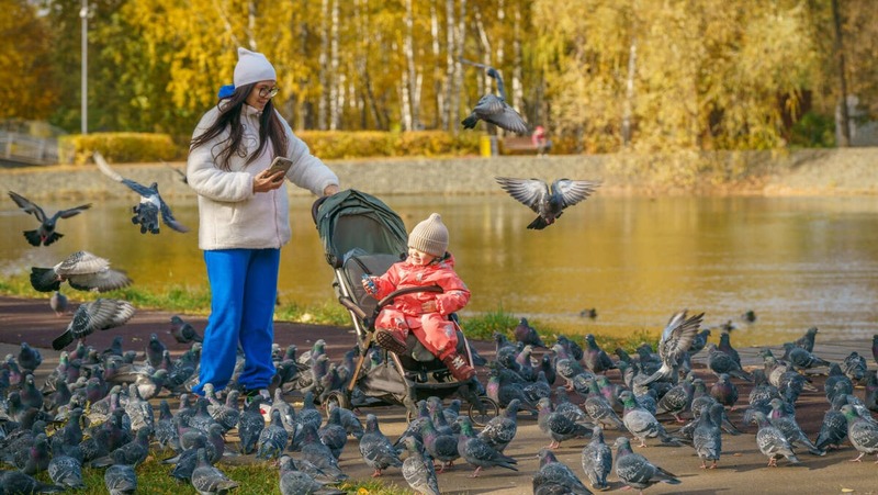 Более 3,5 тыс. молодых семей РТ улучшили жилищные условия по госпрограммам