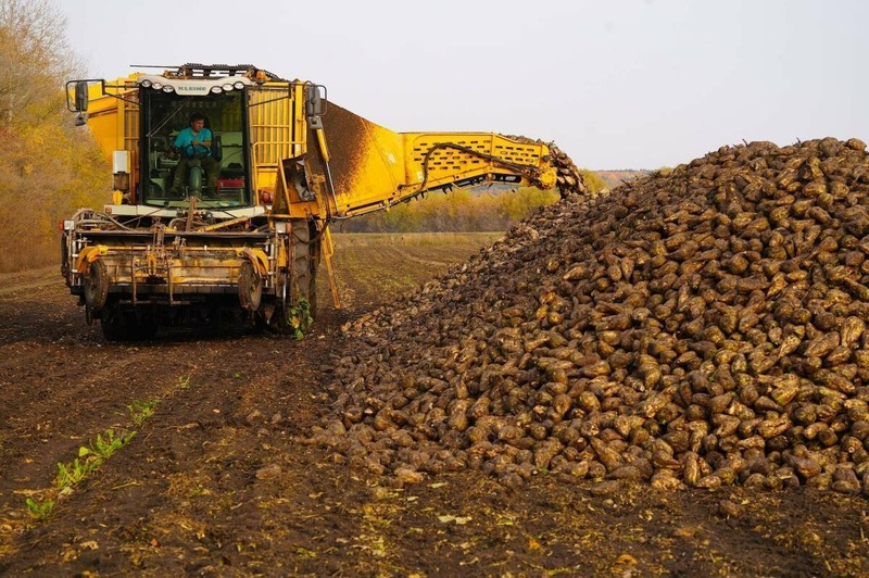 Зяббаров рассказал о ходе уборочной кампании в Татарстане