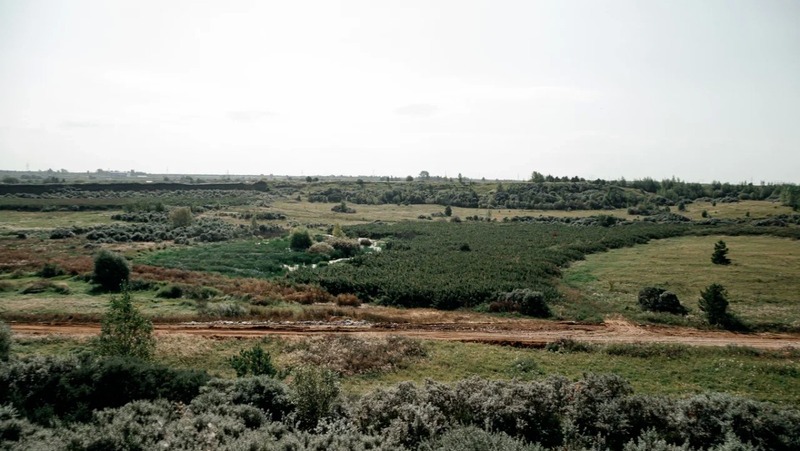 965 многодетных семей получили земельные участки в Челнах в 2025 году