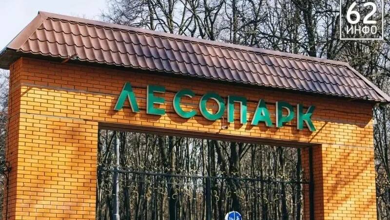 Центр уличного спорта «Под мостом» возобновил работу в Рязани