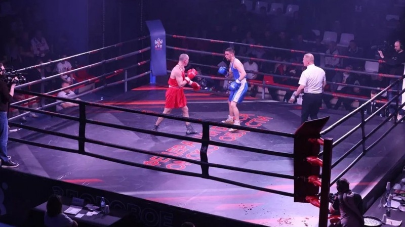 Омичи завоевали 4 золота на турнире по боксу им. Тищенко