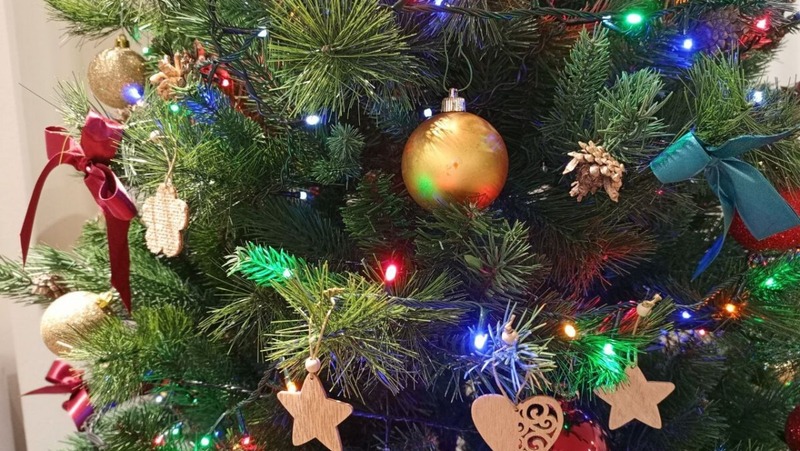 Акция по приёму на утилизацию новогодних ёлок стартует 12 января в Нижегородской области