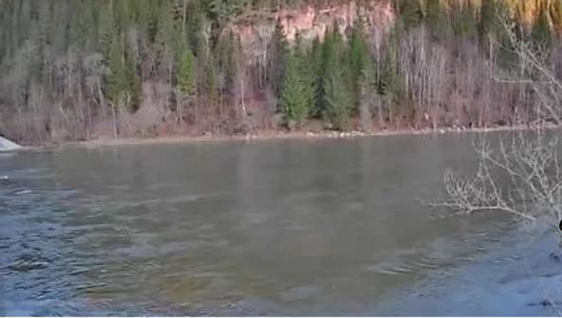 52 приусадебных участка подтопила вода в Башкирии