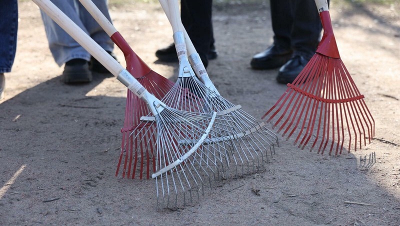 Общегородской субботник состоится 25 апреля в Петербурге