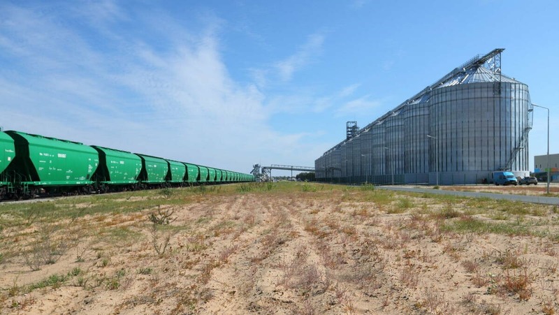 На 15 млн долларов вырос экспорт продукции АПК Татарстана за год