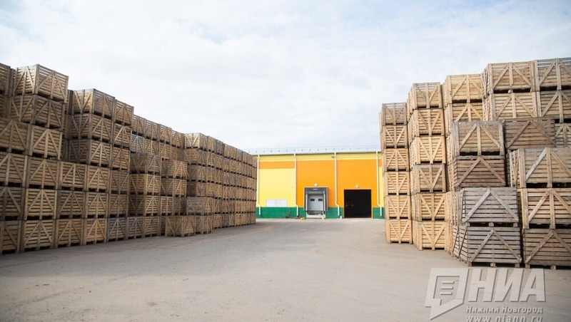 9,3 млрд долларов достиг внешнеторговый оборот Нижегородской области