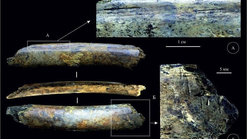 Уникальный артефакт эпохи палеолита нашли археологи в Омске
