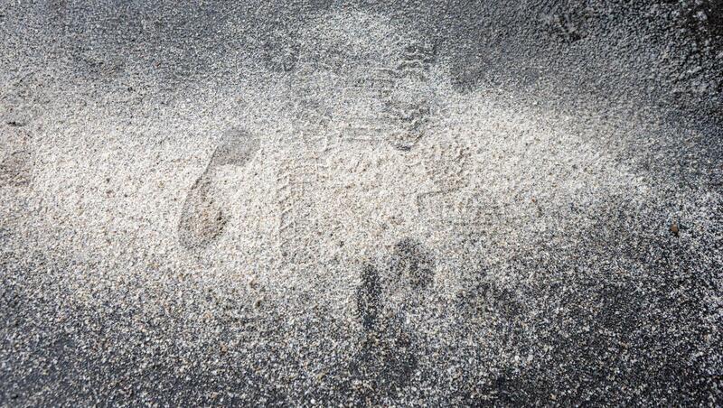 269 человек пропали за март в Петербурге и Ленобласти