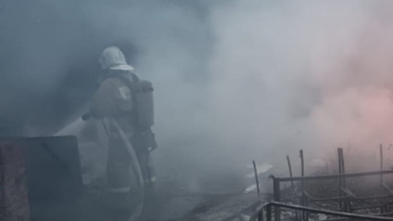 В Омской области за неделю ликвидировано 48 пожаров