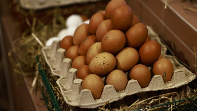В Татарстане упали в цене овощи, яйца и подсолнечное масло