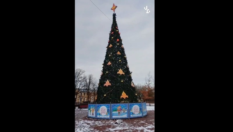 Первую новогоднюю ёлку установили в сквере у Львовского дворца в Петербурге