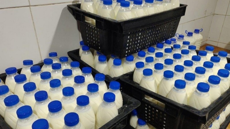 Более 4 тонн молока и молочных продуктов  купили рязанцы на ярмарке выходного дня 