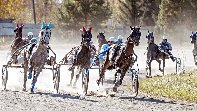 Южноуральские наездники завоевали 3 приза на конных соревнованиях в Кургане