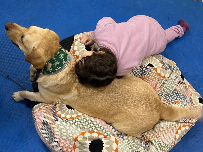 В Казани свыше 1 тыс. детей с ОВЗ прошли канистерапию