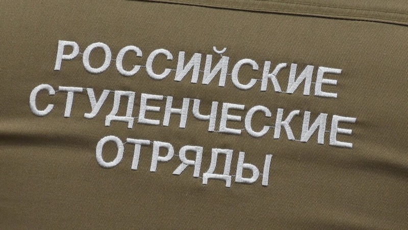 757 человек трудоустроили благодаря студотрядам в 2025 году в Рязанской области