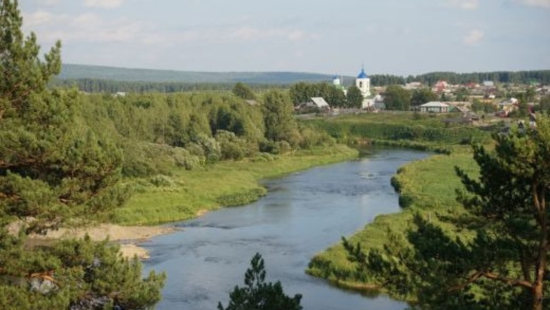 Международный диктант по экологии состоится в регионе с 2 по 24 октября