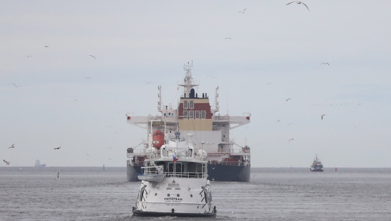 Более 30 пассажиров отравились на теплоходе «Леонид Красин»