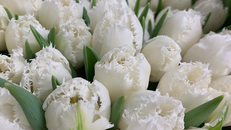 Цветочный маркет состоится 4–9 марта на ВДНХ в Рязани