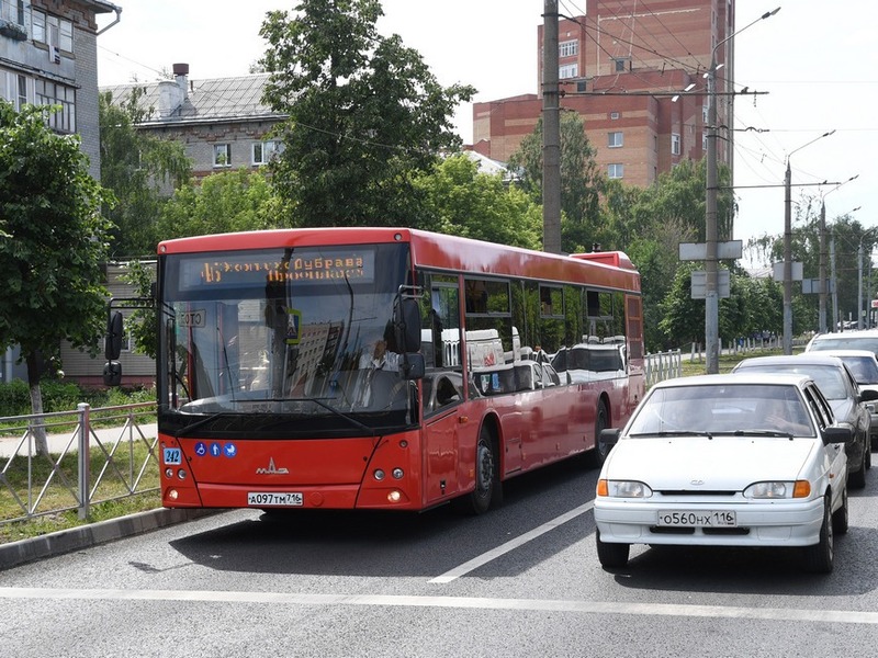 Бесплатные шаттлы довезут до гастрофеста на озере Лебяжье
