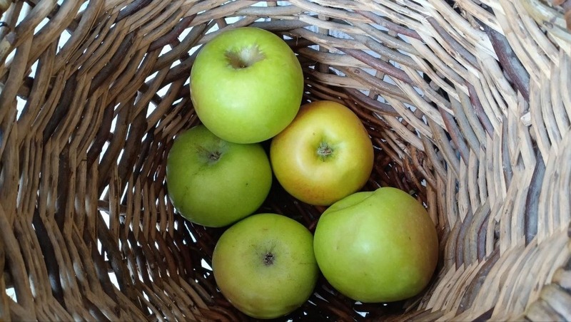 4,5 тонны яблок купили на ярмарках выходного дня 14 февраля в Рязани