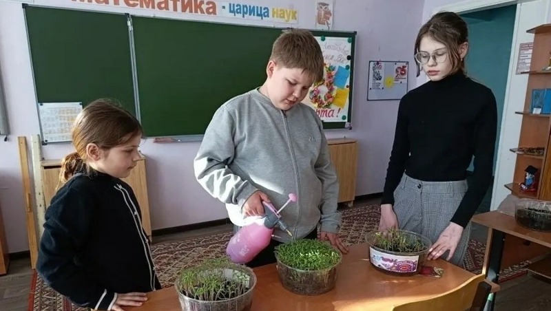 Колымские школьники выращивают свежие овощи в Верхнем Сеймчане