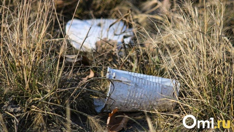 Весенний субботник состоится в Омской области 18 апреля