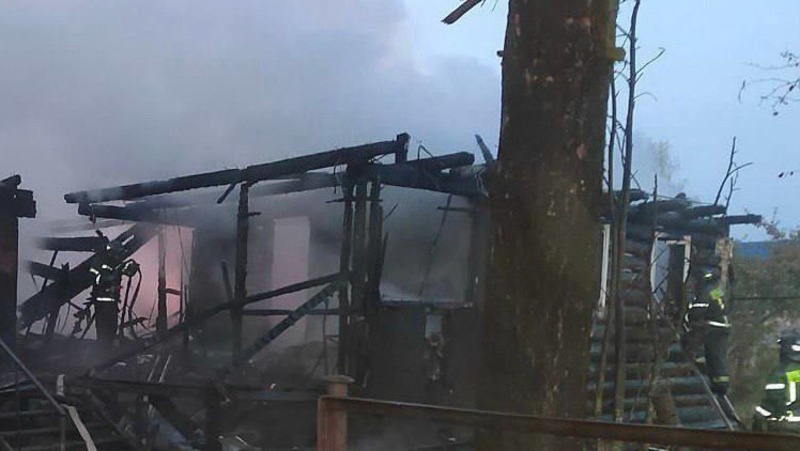 Женщина и трое детей погибли при пожаре в Ленобласти