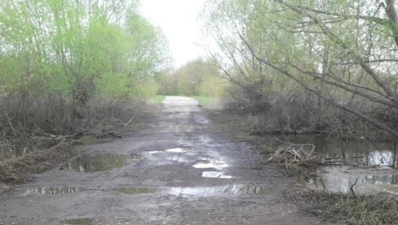 В Рязанской области два моста освободились от воды