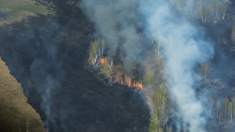 55 операторов дронов для мониторинга лесных пожаров подготовили в Челябинской области
