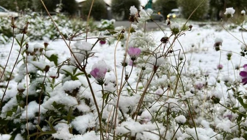 Синоптики предупреждают о заморозках до –9 градусов в Омской области