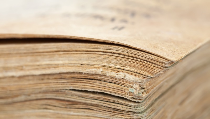 В Башкирии в 4,2 раза увеличился экспорт древесных плит с прошлого года