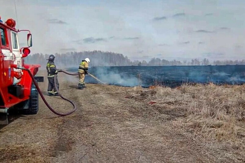 Сгорело более 20 тысяч метров травы в Омской области
