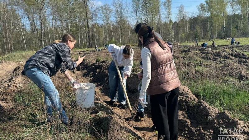 1 млн саженцев высадят участники Всероссийской акции «Сохраним лес» в РТ
